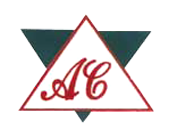 A.C. Motor