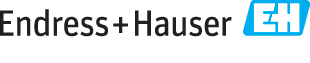 Endress & Hauser