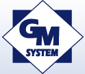 GM SYSTEM